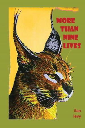 Cover of the book More Than Nine Lives by Shira Taylor Gura