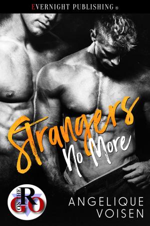 Book cover of Strangers No More