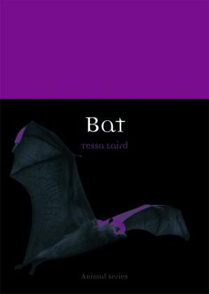 Cover of the book Bat by Richard Sugg