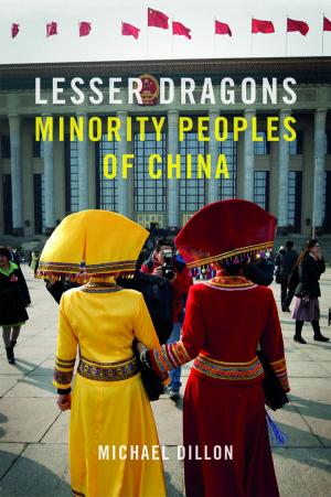 Cover of the book Lesser Dragons by Murray Pittock