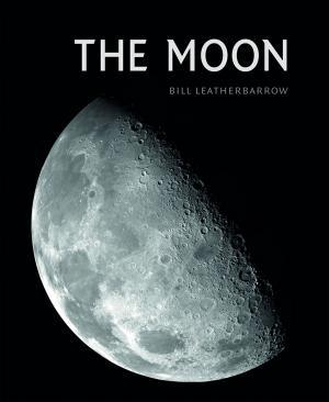 Cover of the book The Moon by Spike Bucklow