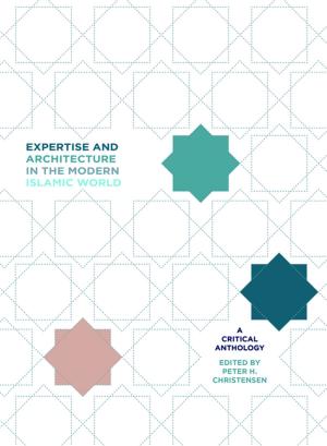 bigCover of the book Expertise and Architecture in the Modern Islamic World by 