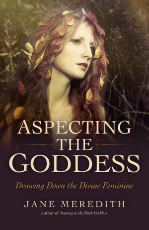 Cover of the book Aspecting the Goddess by Kylie Holmes