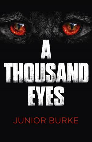 Cover of the book A Thousand Eyes by Morgan Daimler