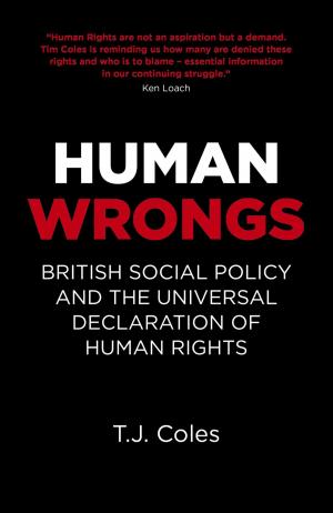 Cover of the book Human Wrongs by Michael Cronin