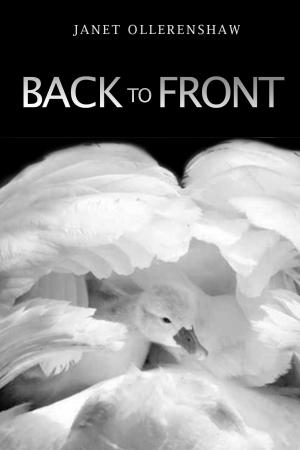 Cover of the book Back to Front by Christine M. Harris