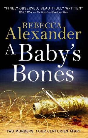 Book cover of A Baby's Bones
