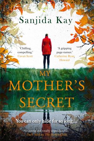 Cover of the book My Mother's Secret by Michael J. Seidlinger