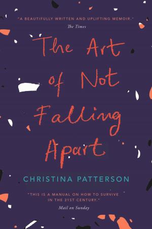 Cover of the book The Art of Not Falling Apart by Terence Nardo