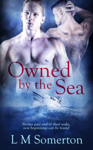 Cover of the book Owned by the Sea by Bellora Quinn, Sadie Rose Bermingham