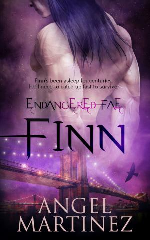 Cover of the book Finn by Barbara Huffert