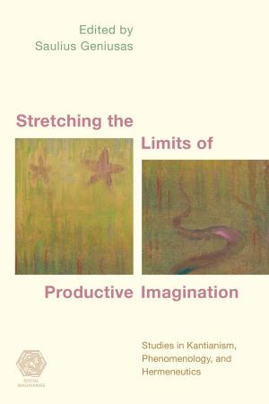 Cover of the book Stretching the Limits of Productive Imagination by BS Murthy