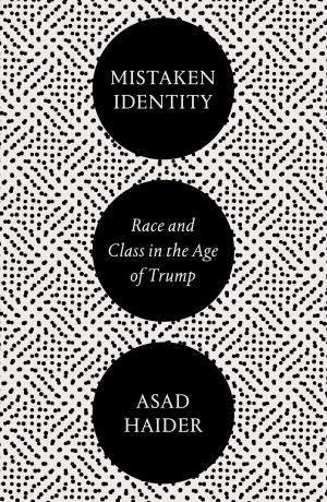 Cover of the book Mistaken Identity by Lennard J. Davis