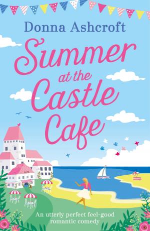 Cover of the book Summer at the Castle Cafe by Irene Davidson