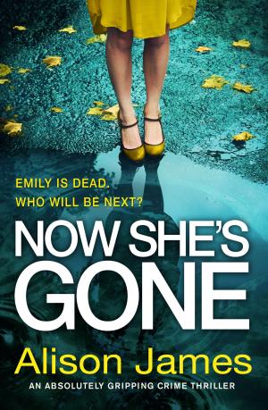 Cover of the book Now She's Gone by Alison James