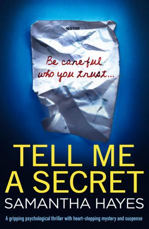 Cover of the book Tell Me A Secret by Lindsay J. Pryor
