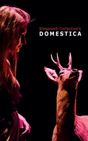 Cover of the book Domestica by Henry Howarth Bashford, Archibald Hurd