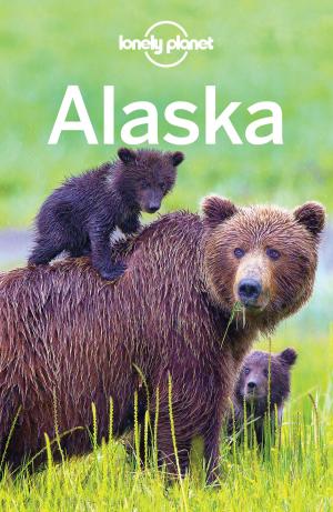 Book cover of Lonely Planet Alaska