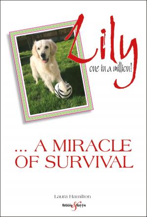 Cover of the book Lily: one in a million by Catherine Pickles