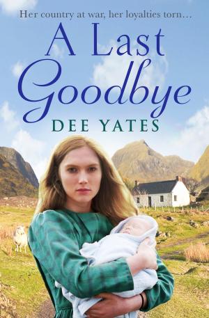 Cover of the book A Last Goodbye by Lesley Thomson