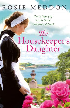 Book cover of The Housekeeper's Daughter