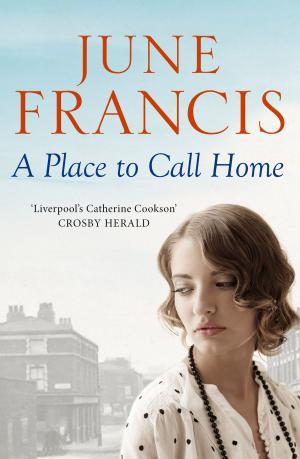 Book cover of A Place to Call Home