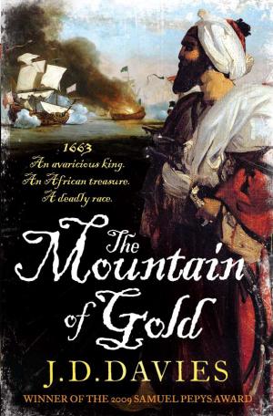 Book cover of The Mountain of Gold