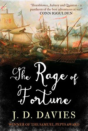 Cover of the book The Rage of Fortune by Poppy Dolan