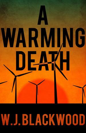 Cover of the book A Warming Death by Bronach Crawley