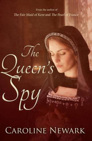 Cover of the book The Queen's Spy by Steve Bridger