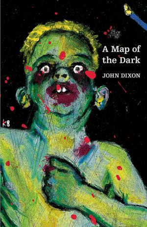 Cover of the book A Map of the Dark by Quentin Rowan