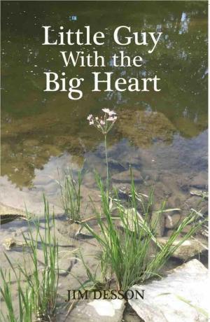 Cover of Little Guy with the Big Heart