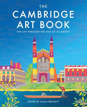 Cover of The Cambridge Art Book