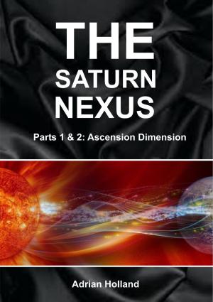 Book cover of The Saturn Nexus - Parts 1 & 2 - Ascension Dimension