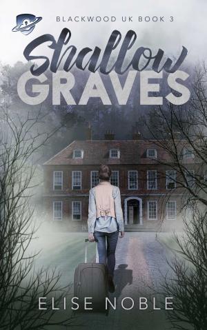 Cover of the book Shallow Graves by Debbie D. Ellis