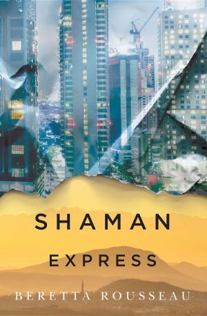 Cover of Shaman Express