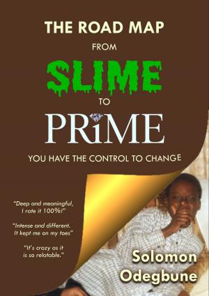 Cover of the book The Road Map from Slime to Prime by Karen Patrick
