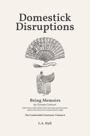 Cover of the book Domestick Disruptions by Mary F. Burns