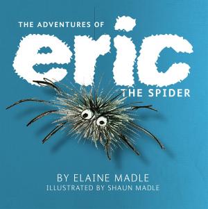 bigCover of the book The Adventures of Eric The Spider by 