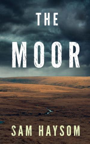 Cover of the book The Moor by David Wilson