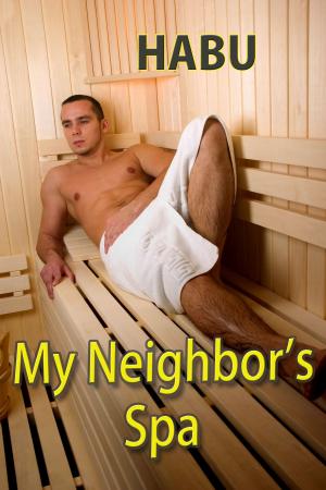 Cover of the book My Neighbor´s Spa by habu