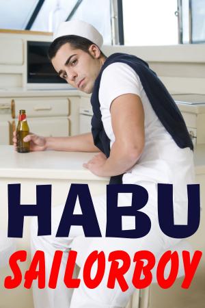 Cover of the book Sailorboy by James Hawk