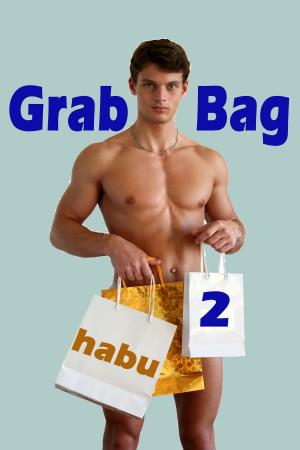 Cover of the book Grab Bag 2 by Luna Lance