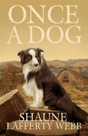 Cover of Once A Dog