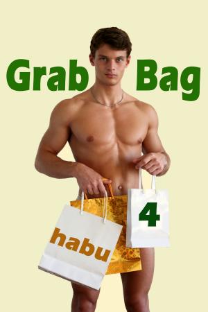 Book cover of Grab Bag 4