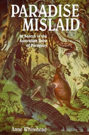 Cover of the book Paradise Mislaid by John Wright