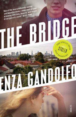 Cover of the book The Bridge by Anna Westbrook