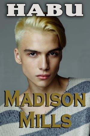 Book cover of Madison Mills
