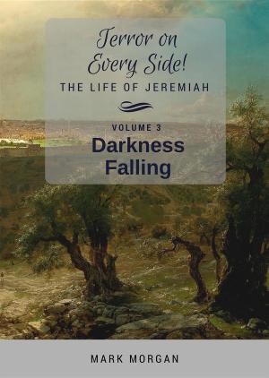Cover of the book Darkness Falling by Claire May