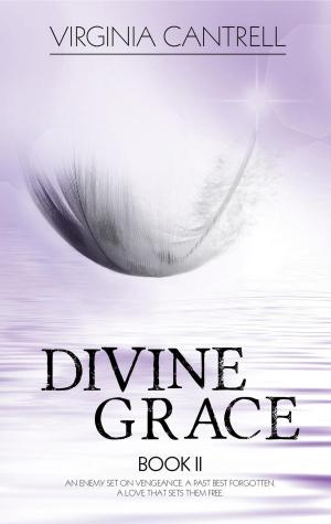 Cover of the book Divine Grace by MV Ellis